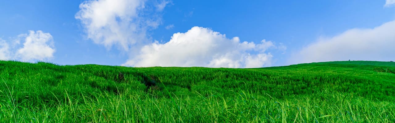 A bright green grassy hill under a deep blue sky with a few white clouds